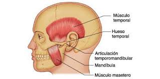 Jaw and stress